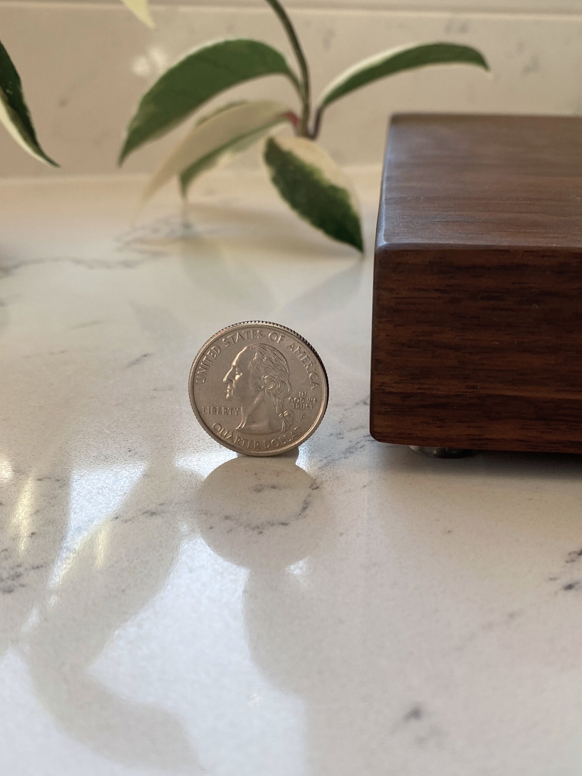 Solid Slab Cutting Boards