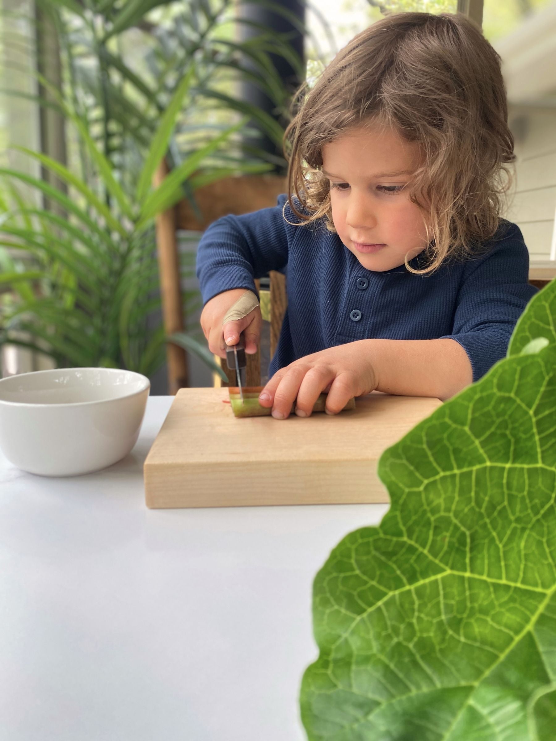 Solid Slab Cutting Boards