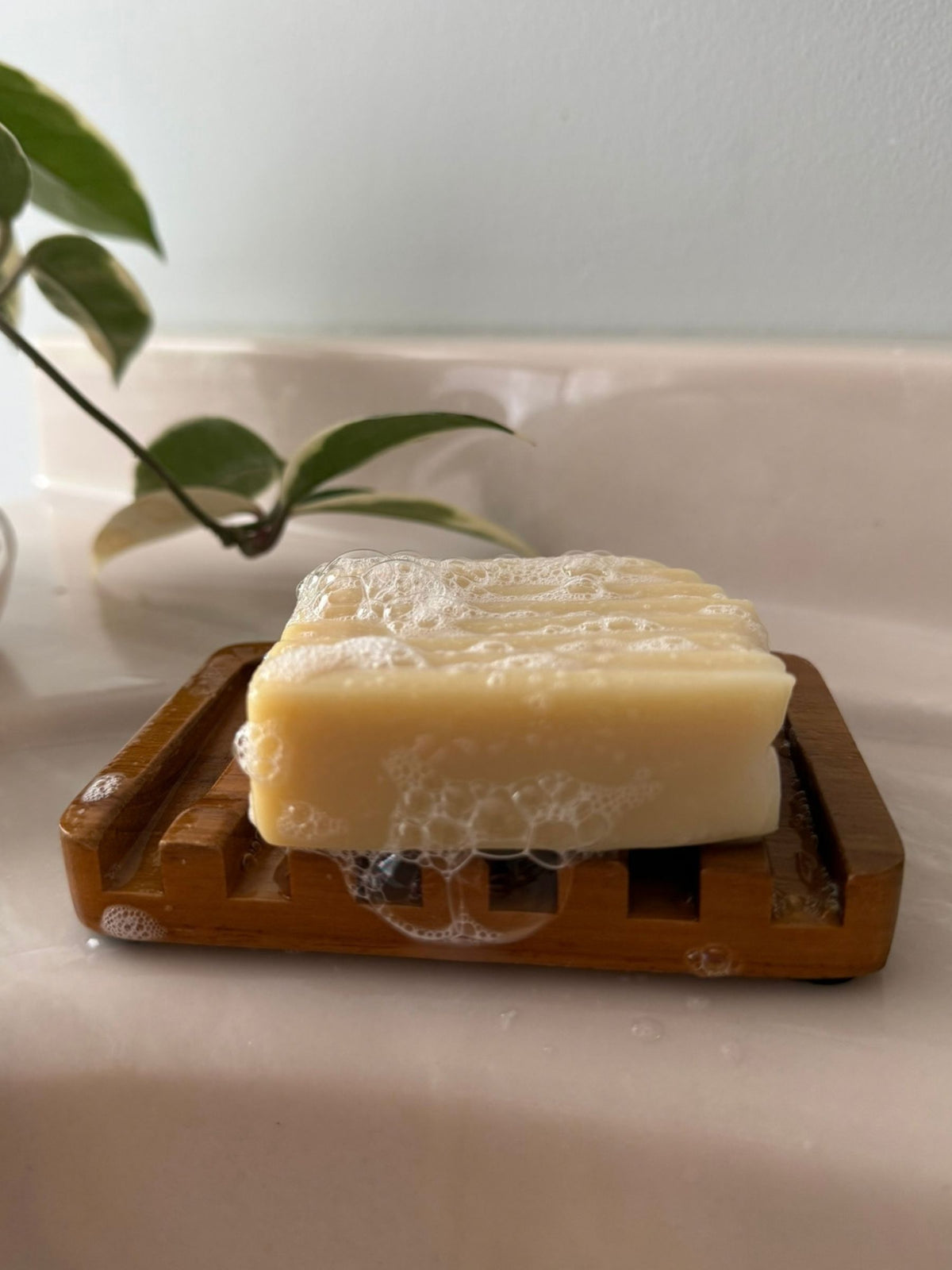 Grass-Fed Tallow & Goat Milk Soap