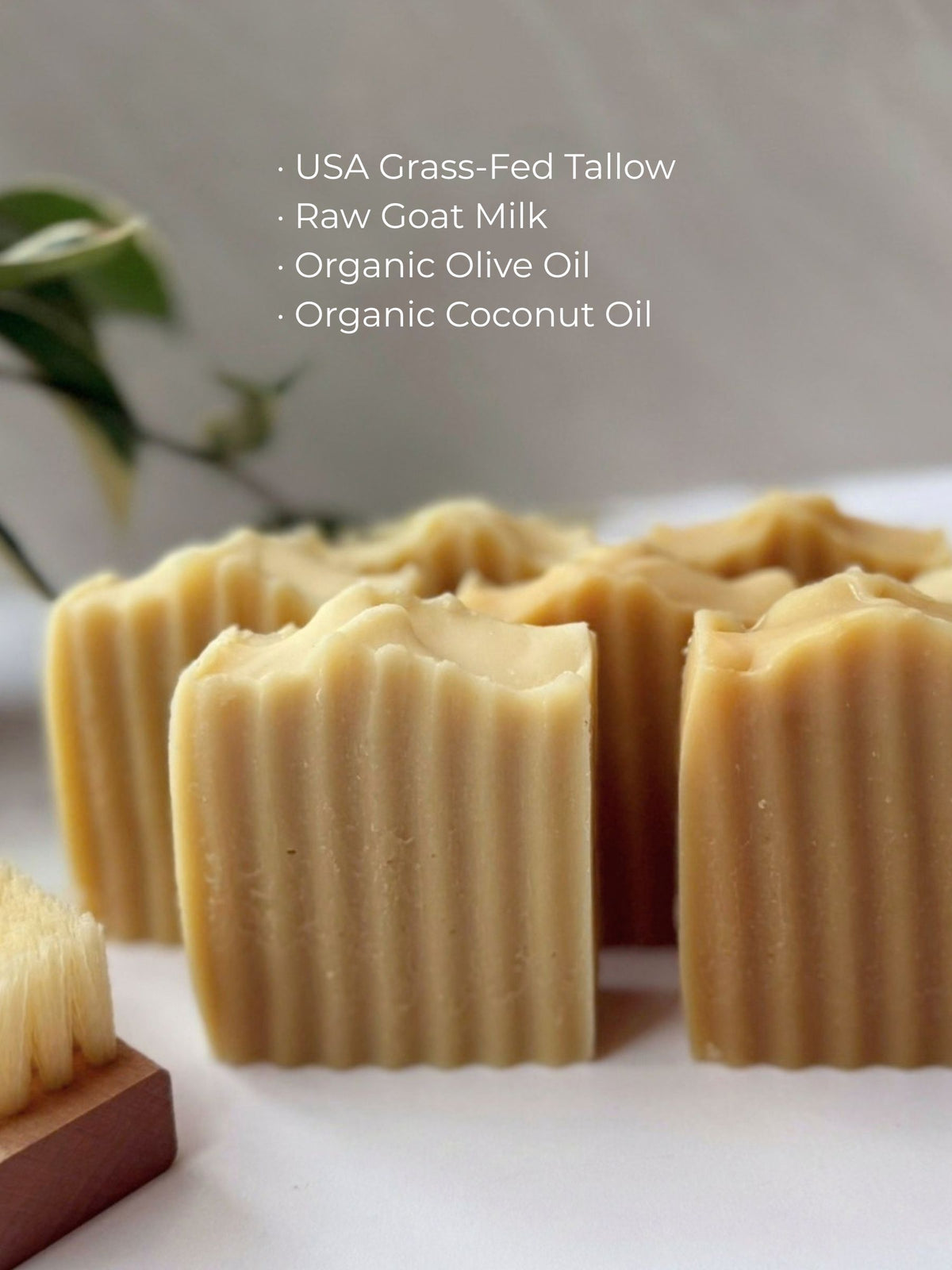 Grass-Fed Tallow & Goat Milk Soap