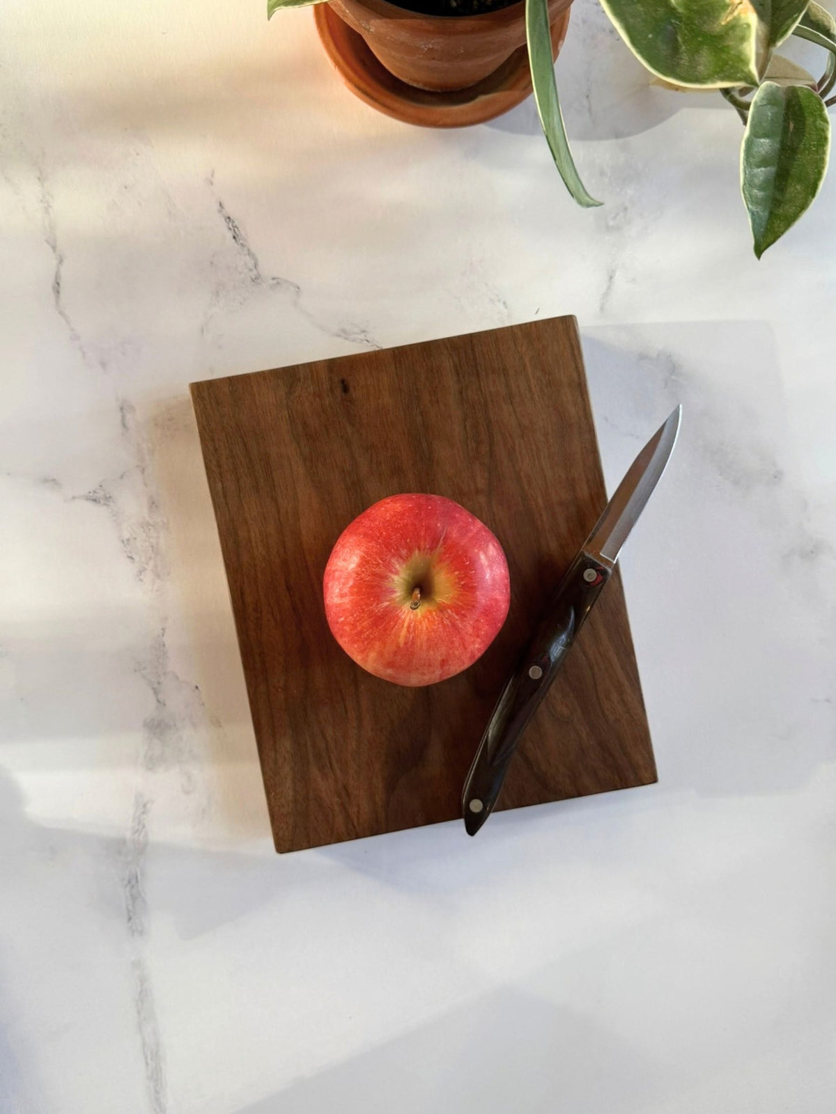 Solid Slab Cutting Boards